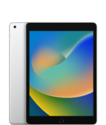 iPad (nona generazione)