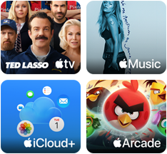Un iPad che mostra l’offerta promozionale di Apple One, acquista un nuovo iPad e avrai 3 mesi gratis di Apple One con i servizi Apple TV, Apple Music, iCloud+ e Apple Arcade