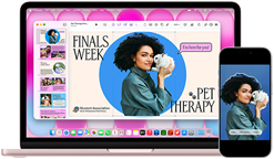 MacBook Neo rosa pastello accanto a un iPhone; la schermata di MacBook Neo mostra una presentazione sulla pet therapy con la foto di una persona che tiene in braccio un coniglio; la schermata dell’iPhone mostra la stessa foto trasformata in un adesivo da usare nella presentazione