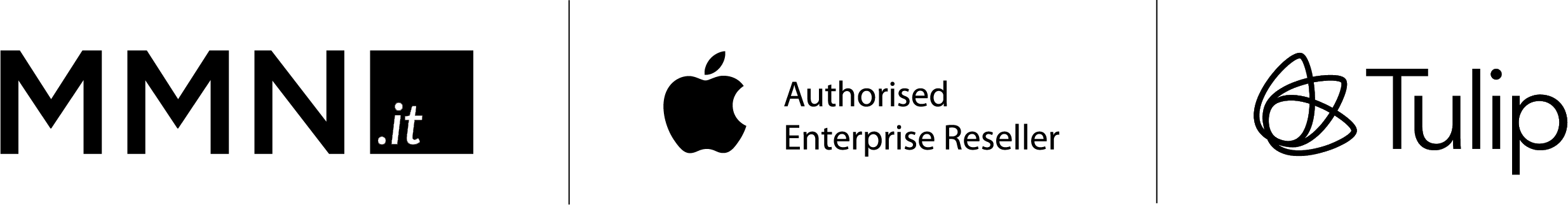 Logo-MMN_it_AER_Tulip_black copia