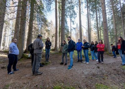 Bonelli Erede_Paneveggio_18_10_2022_@JacopoBernard