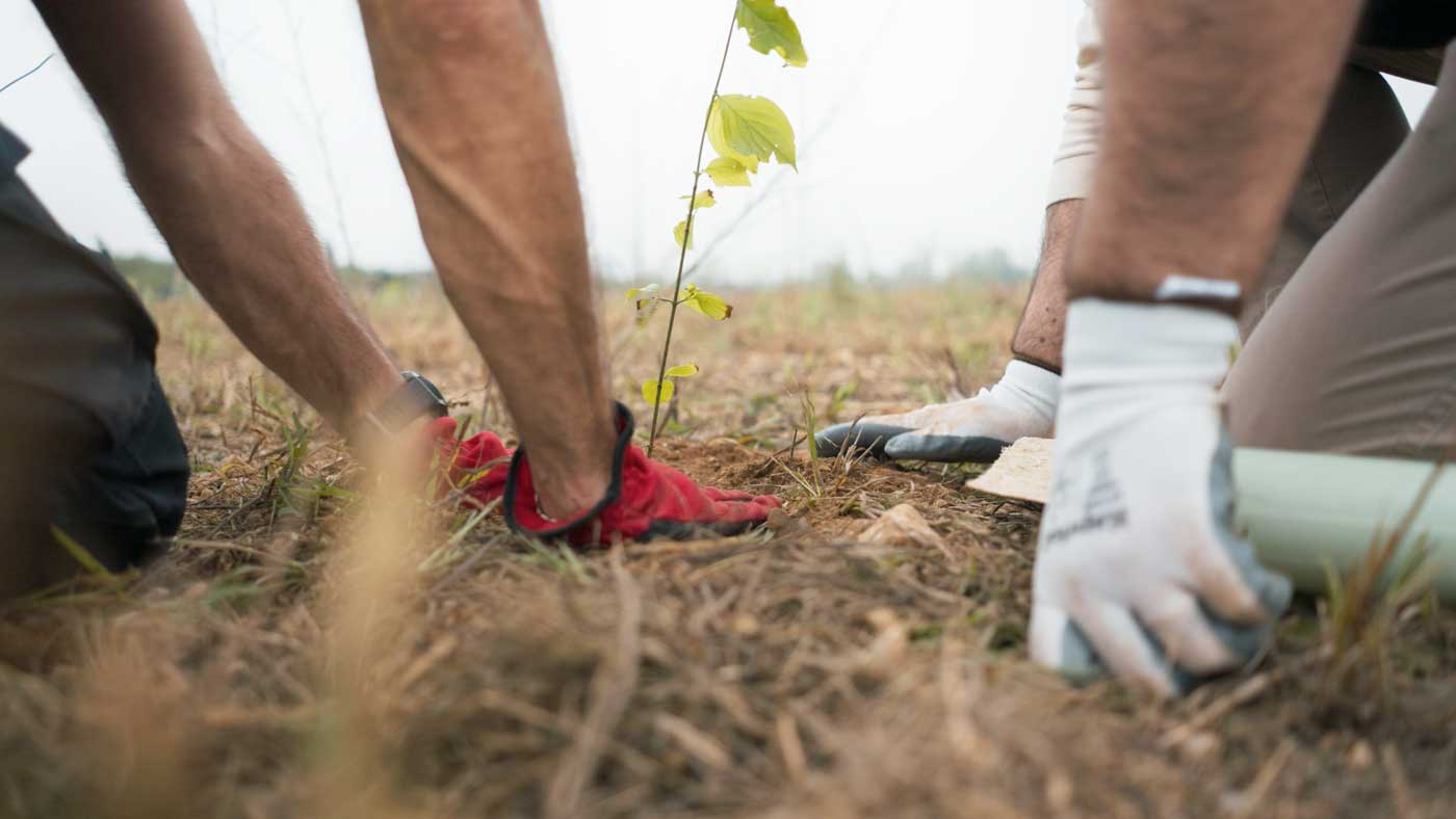 MMN Apple Solution Expert Education