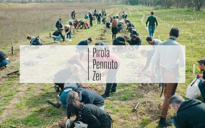 Nova Milanese forestation with Pirola Pennuto Zei & Associati