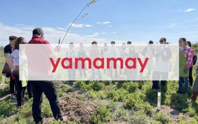 Una nuova azione CSR per Yamamay nella ex cava Eges